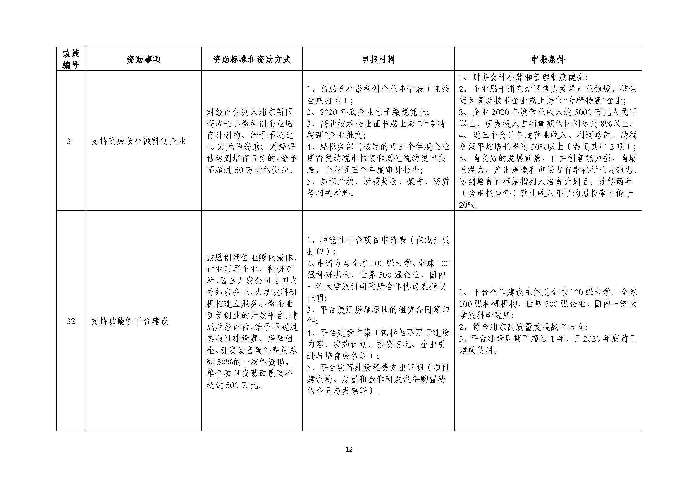 2021年張江科學(xué)城專項(xiàng)政策申報(bào)指南_頁面_12.jpg